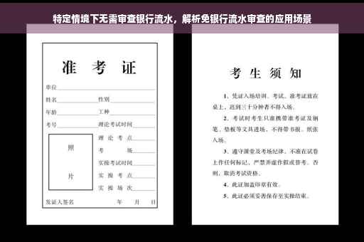 特定情境下无需审查银行流水，解析免银行流水审查的应用场景