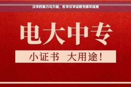 汉字的魅力与力量，名字汉字证明书撰写指南