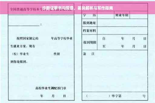 诊断证明书与假条，差异解析与写作指南