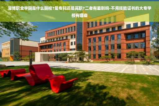 淄博职业学院是什么院校?是专科还是高职?二者有差别吗-不用技能证书的大专学校有哪些