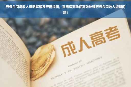 劳务合同与收入证明解读及应用指南，实用指南助你高效处理劳务合同收入证明问题！