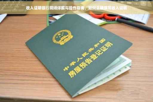 收入证明银行现场详解与操作指南，如何正确撰写收入证明