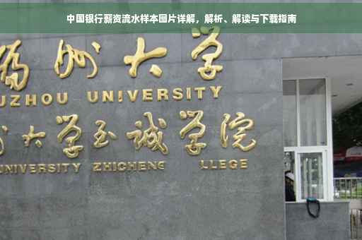中国银行薪资流水样本图片详解，解析、解读与下载指南