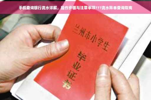 手机查询银行流水详解，操作步骤与注意事项???流水账单查询指南