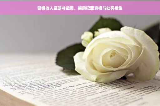 警惕收入证明书造假，揭露犯罪真相与处罚措施