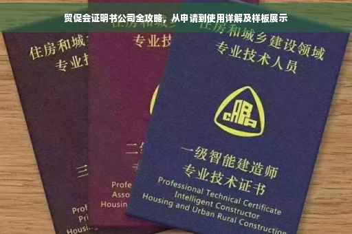 贸促会证明书公司全攻略，从申请到使用详解及样板展示