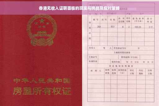 香港无收入证明面临的现实与挑战及应对策略