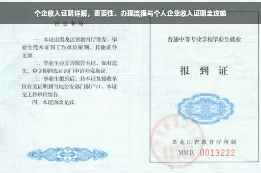 个企收入证明详解，重要性、办理流程与个人企业收入证明全攻略