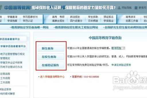 揭秘保险收入证明，保障背后的稳定力量如何开具？