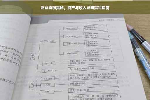 财富真相揭秘，资产与收入证明撰写指南
