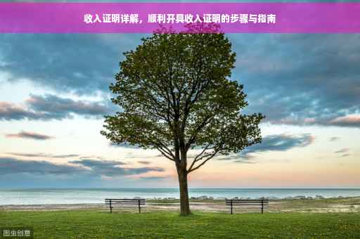 收入证明详解，顺利开具收入证明的步骤与指南