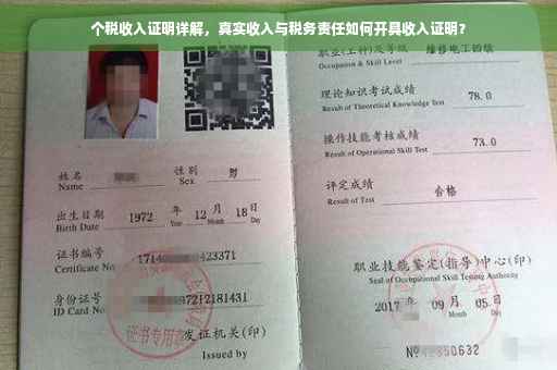 个税收入证明详解，真实收入与税务责任如何开具收入证明？