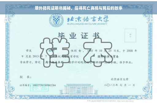 意外猝死证明书揭秘，探寻死亡真相与背后的故事