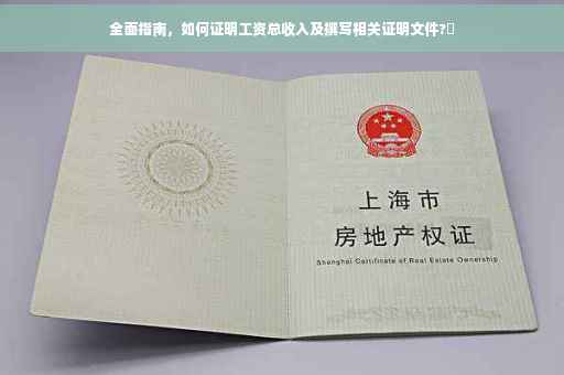 全面指南，如何证明工资总收入及撰写相关证明文件?✨