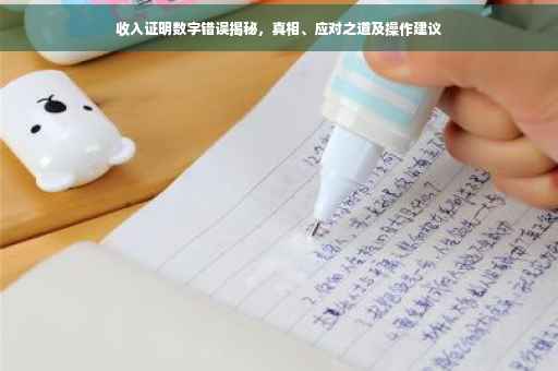 收入证明数字错误揭秘，真相、应对之道及操作建议