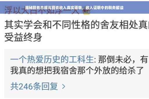 揭秘税务合规与薪资收入真实面貌，收入证明中的税务解读