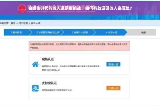 自媒体时代的收入透明度挑战，如何有效证明收入来源地？