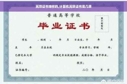 高项证书啥样的,计算机高级证书是几级