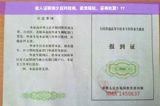 收入证明填少应对指南，避免尴尬，妥善处置！??