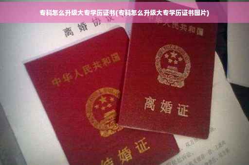 专科怎么升级大专学历证书(专科怎么升级大专学历证书图片)