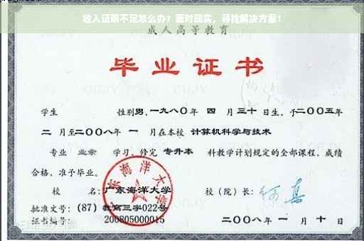 收入证明不足怎么办？面对现实，寻找解决方案！