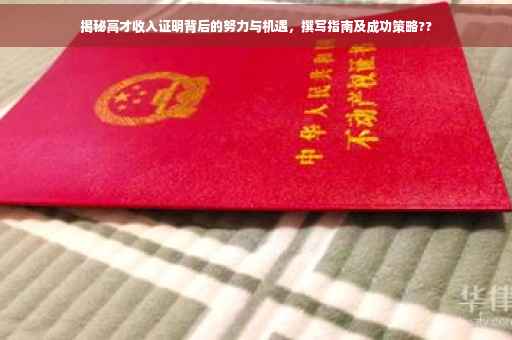 揭秘高才收入证明背后的努力与机遇，撰写指南及成功策略??