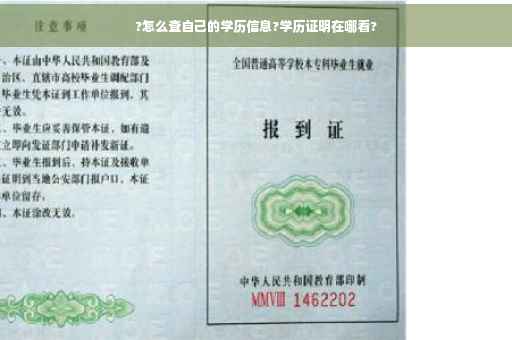 ?怎么查自己的学历信息?学历证明在哪看?