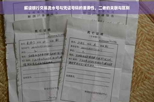 解读银行交易流水号与凭证号码的重要性，二者的关联与区别
