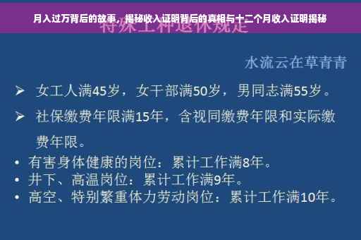 月入过万背后的故事，揭秘收入证明背后的真相与十二个月收入证明揭秘