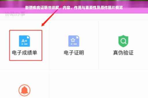 新疆疾病证明书详解，内容、作用与重要性及原件图片概览