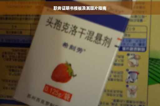 职务证明书模板及其图片指南
