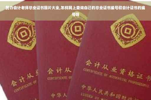 民办会计老师毕业证书图片大全,怎样网上查询自己的毕业证书编号和会计证书的编号啊
