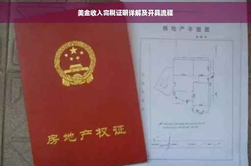 美金收入完税证明详解及开具流程