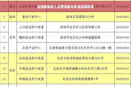 低保资料收入证明详解与申请流程指导