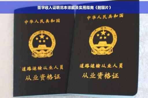 签字收入证明范本详解及实用指南（附图片）