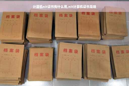 计算机nit证书有什么用,nit计算机证书是啥