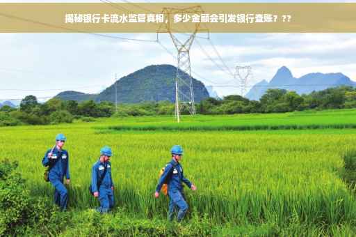 揭秘银行卡流水监管真相，多少金额会引发银行查账？??