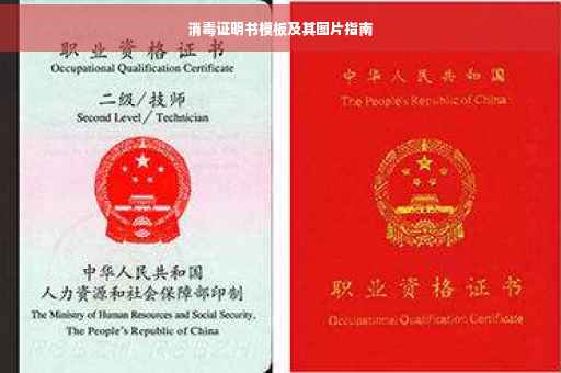 消毒证明书模板及其图片指南 消毒证明书模板及其图片指南