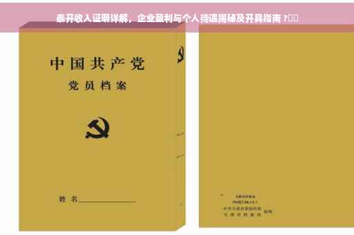 泰开收入证明详解，企业盈利与个人待遇揭秘及开具指南 ?⚡️