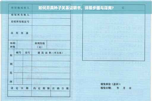 如何开具孙子关系证明书，详细步骤与指南?