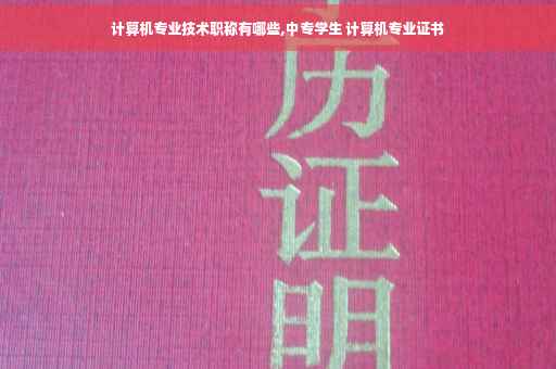 计算机专业技术职称有哪些,中专学生 计算机专业证书