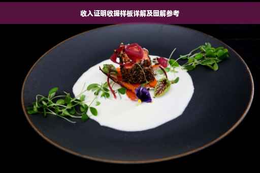 收入证明收据样板详解及图解参考