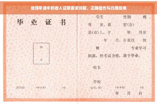 低保申请中的收入证明要求详解，正确操作与办理指南