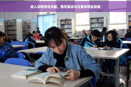 收入证明格式详解，撰写要点与注意事项全指南