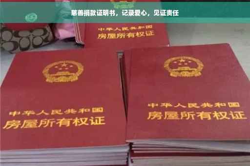 慈善捐款证明书，记录爱心，见证责任