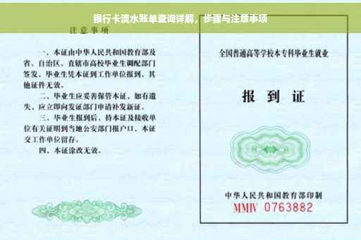 银行卡流水账单查询详解，步骤与注意事项