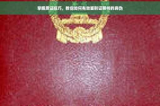 掌握质证技巧，教你如何有效鉴别证明书的真伪