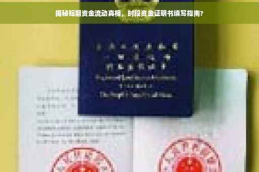 揭秘短期资金流动真相，时段资金证明书填写指南?
