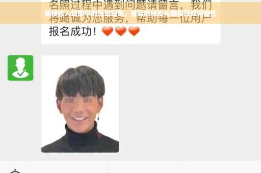 揭秘收入证明中的抠章现象，背后的秘密与真相及如何操作