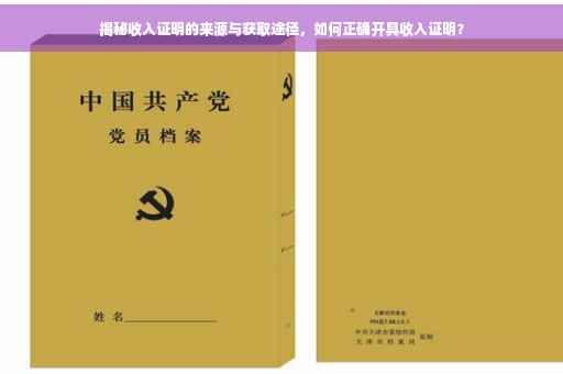 揭秘收入证明的来源与获取途径，如何正确开具收入证明？